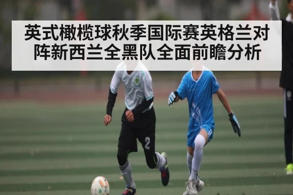 英式橄榄球秋季国际赛英格兰对阵新西兰全黑队全面前瞻分析